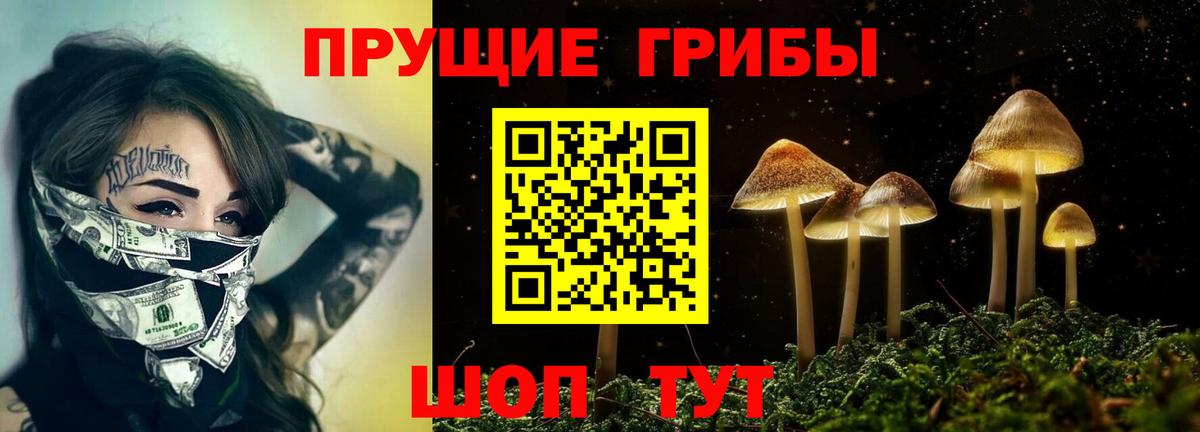 Железноводск  цены наркотик  Вход с VPN  Псилоцибиновые грибы MAGIC MUSHROOMS 